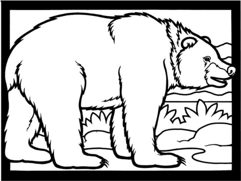 Brown Bear Is Walking Coloring Page